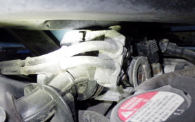 HONDA TACT-4ﾍﾞｰｼｯｸ 2024 AF75