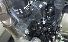 KAWASAKI Z900RS 2024 ZR900K