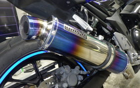 SUZUKI GSX250 R 2010