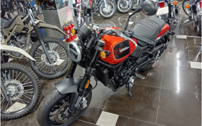HARLEY X500 2024 W5B
