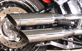 HARLEY FLSTF 2015 BXV