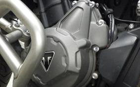 TRIUMPH TIGER 900 RALLY PRO 2022