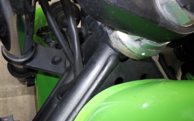 KAWASAKI NINJA 250 2018 EX250P