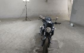 SUZUKI JIKUSA-250 ED22B