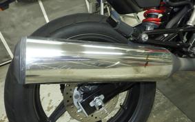 HONDA VTRF250 2024 MC33