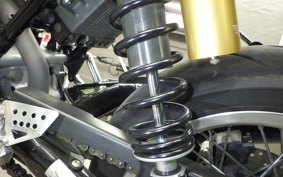 DUCATI SPORT 1000 2007