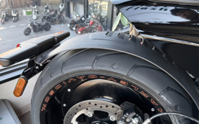 HARLEY FXDR114 2019 YVK