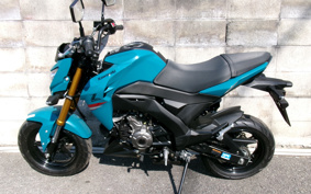 KAWASAKI Z125 PRO BR125H