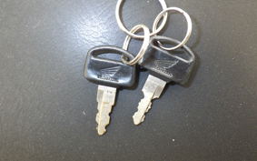 HONDA C50 SUPER CUB AA01