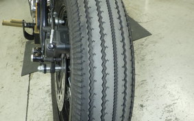 OTHER THUNDER 250 2025
