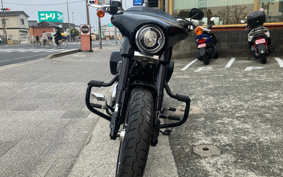 HARLEY FLSB 2019 YMJ