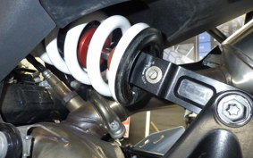 HUSQVARNA スバルトピレン801 2024