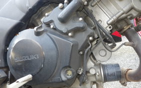 SUZUKI DL1000 ( V-Strom 1000 )