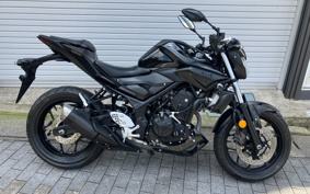 YAMAHA MT-25 RG10J