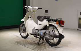 HONDA C110 SUPER CUB 2009 JA07