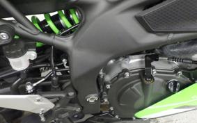 KAWASAKI ZX-4RR 2024 ZX400P