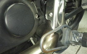 HONDA SHADOW 750 PHANTOM 2012 RC53