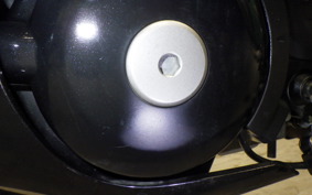 SUZUKI GSX-R125 2006 DL33B