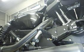 HARLEY XL1200NS 2019