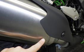 KAWASAKI ZX-4RR 2023 ZX400P