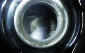 YAMAHA VIRAGO 250 2024 3DM