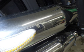 HARLEY FXST1750 2021