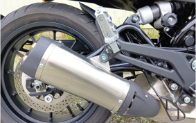 HARLEY X500 2023 W5B
