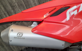 GASGAS EC 250 F
