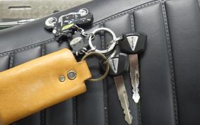 KAWASAKI Z900RS 2023