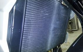 TRIUMPH TRIDENT 660 2021