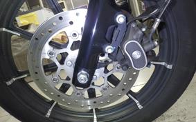 HARLEY XL883N 2021