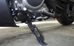 HARLEY RH975 2022