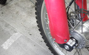 GASGAS EC 250 F