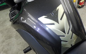 YAMAHA FZ1 FAZER 2011 RN21J