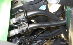 KAWASAKI VERSYS-X 250 A 1994 LE250D