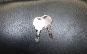 OTHER +UNREGISTERED MODEL by BDS1330 2026