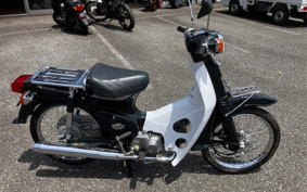 HONDA SUPER CUB50 C50