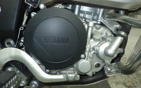 YAMAHA WR250X DG15J