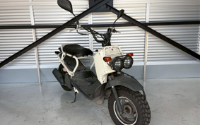HONDA ZUMAR AF58