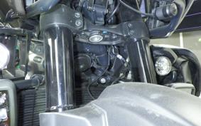 HARLEY ﾊﾟﾝ AMERICA1250S 2023