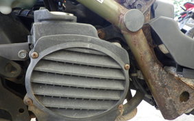 HONDA ZOOMER AF58