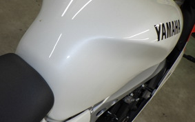 YAMAHA XSR900 GP 2024 RN96J
