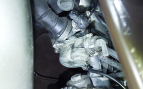 HONDA LITTLE CUB 2023 C50