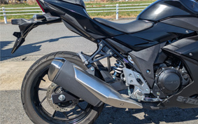 SUZUKI GSX250R DN11A