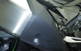 KAWASAKI NINJA 1000SX 2024 ZXT02K