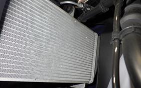 YAMAHA YZF-R25 A 2017 RG43J