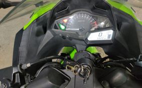 KAWASAKI NINJA 250 EX250L