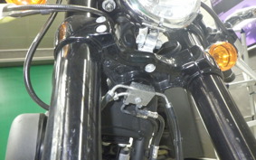 HARLEY XL1200CX 2017