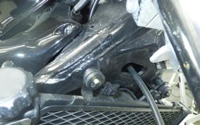 KAWASAKI ELIMINATOR 250 V 2022 VN250A