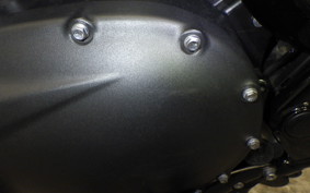 TRIUMPH SCRAMBLER 900 2025